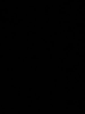 A1a475ba17a6c4457b517478b63690e644.jpg