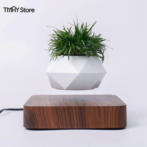 Floating-Magnetic-Levitating-Flower-Pot-Bonsai-Air-Plant-Pot-Vase-360-Degree-Rotation-Planter-Potted-Home.jpg