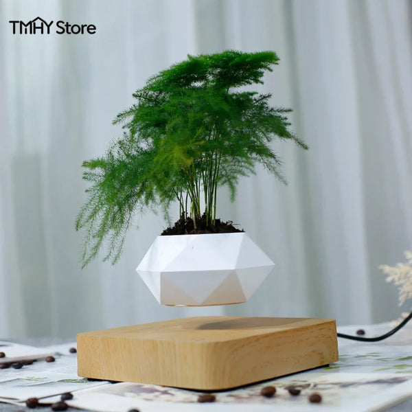 Magic Floating Flower Pot