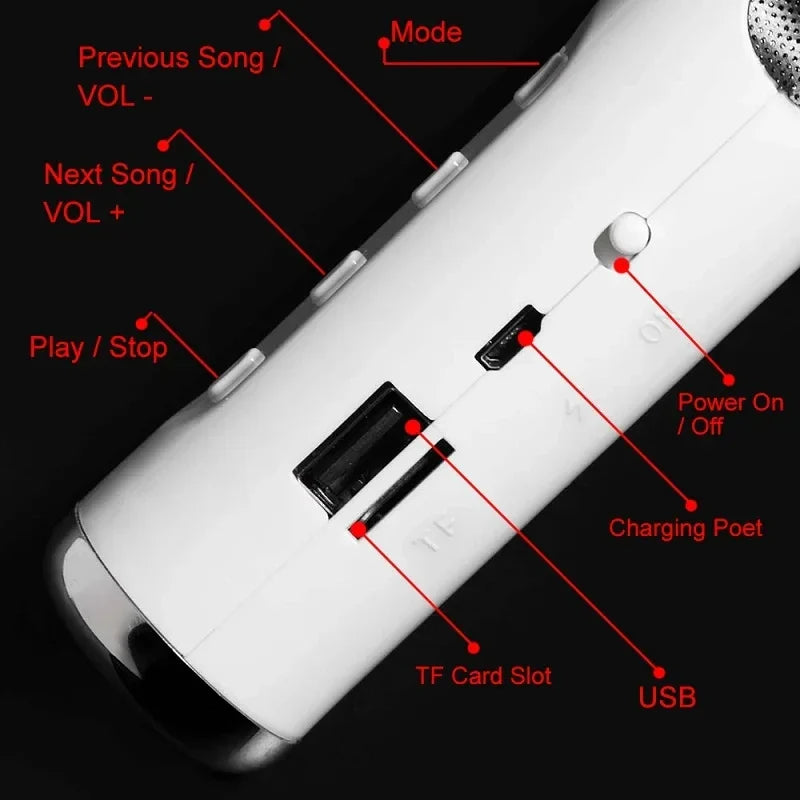 Giant Wireless Audio Speaker